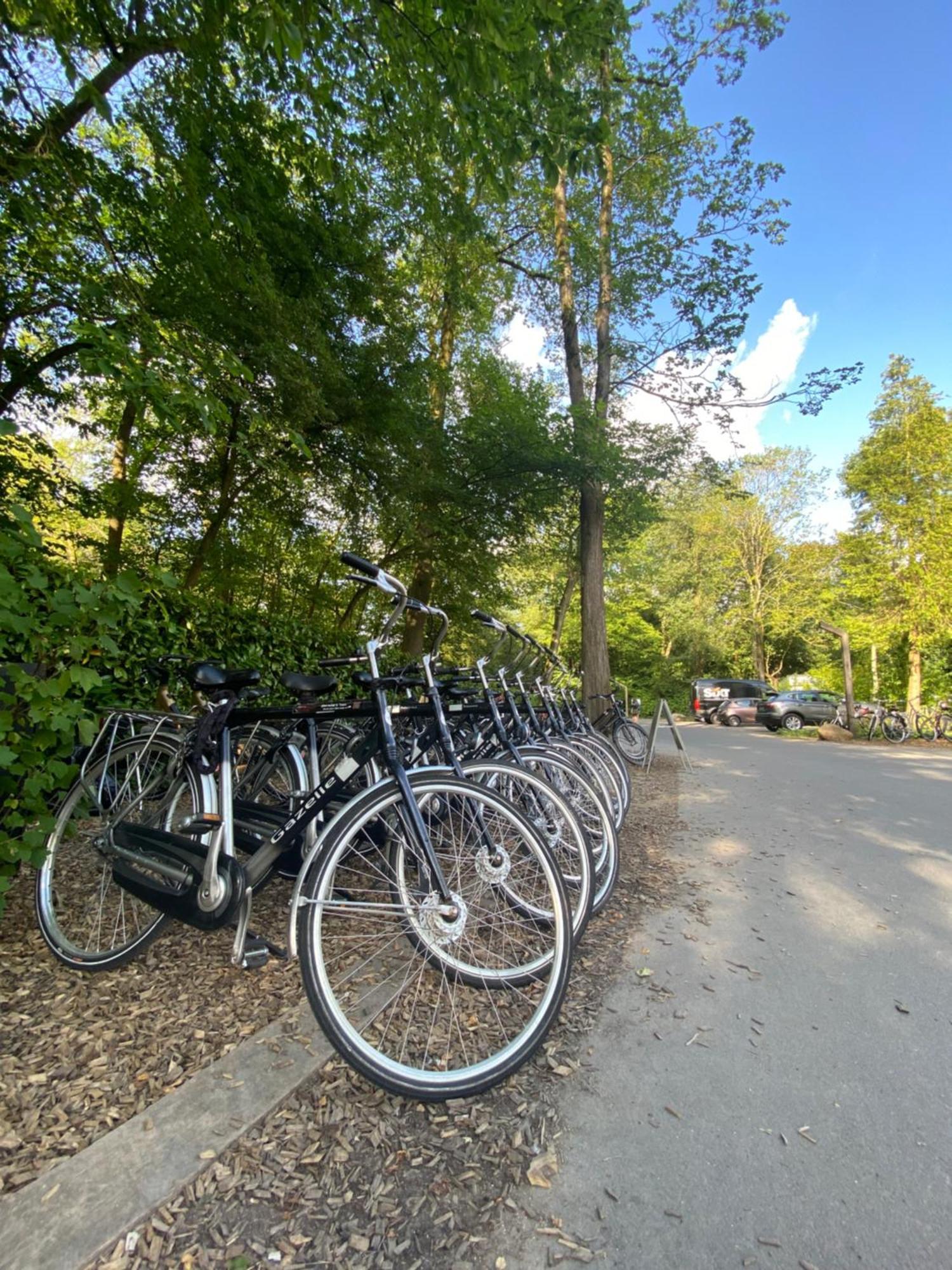 Vliegenbos Campingplatz Amsterdam